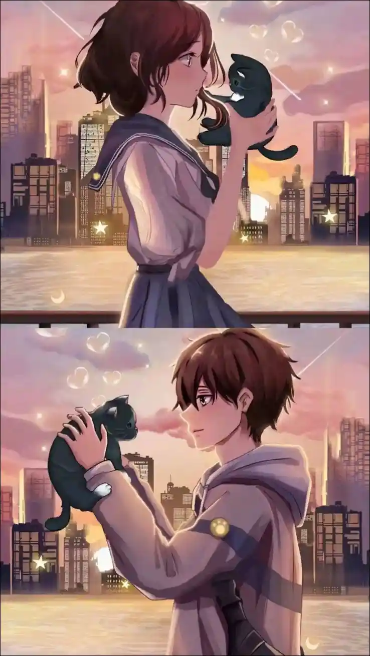 anime-dp