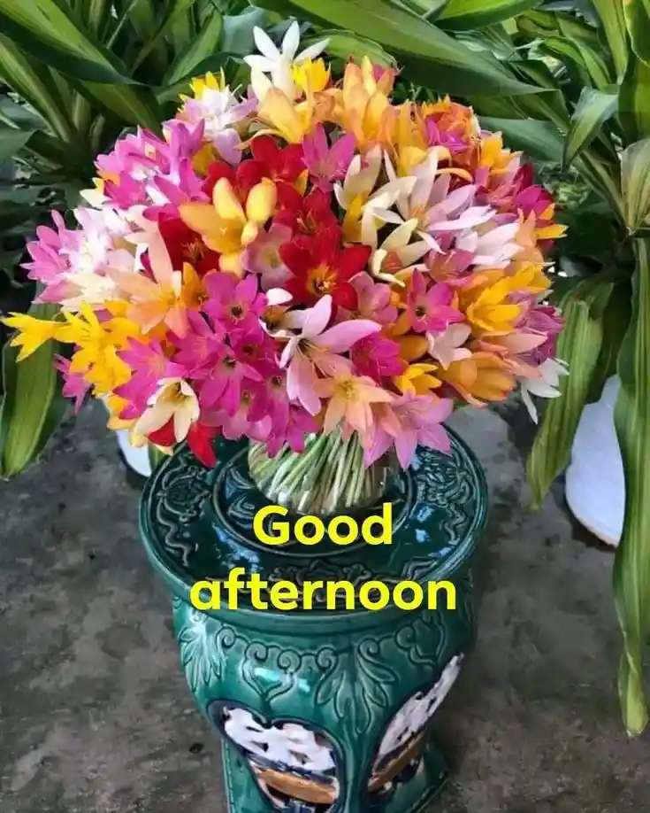 good-afternoon-flowers-images