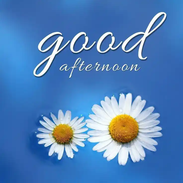 good-afternoon-images -