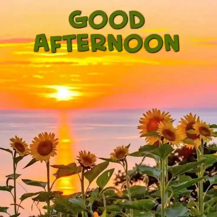 good-afternoon-photos