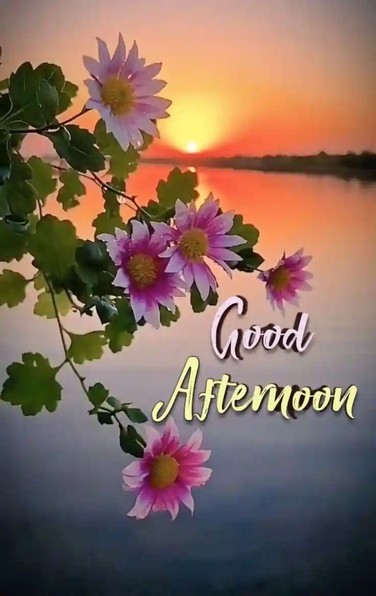 good-afternoon-pictures