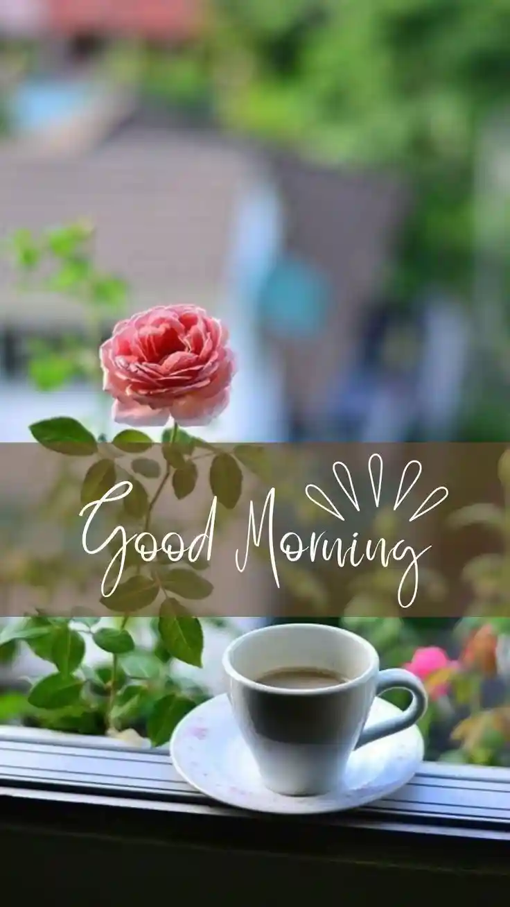 good-morning-photos
