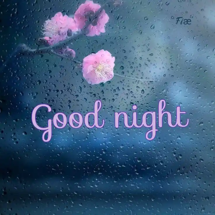 good-night-pictures
