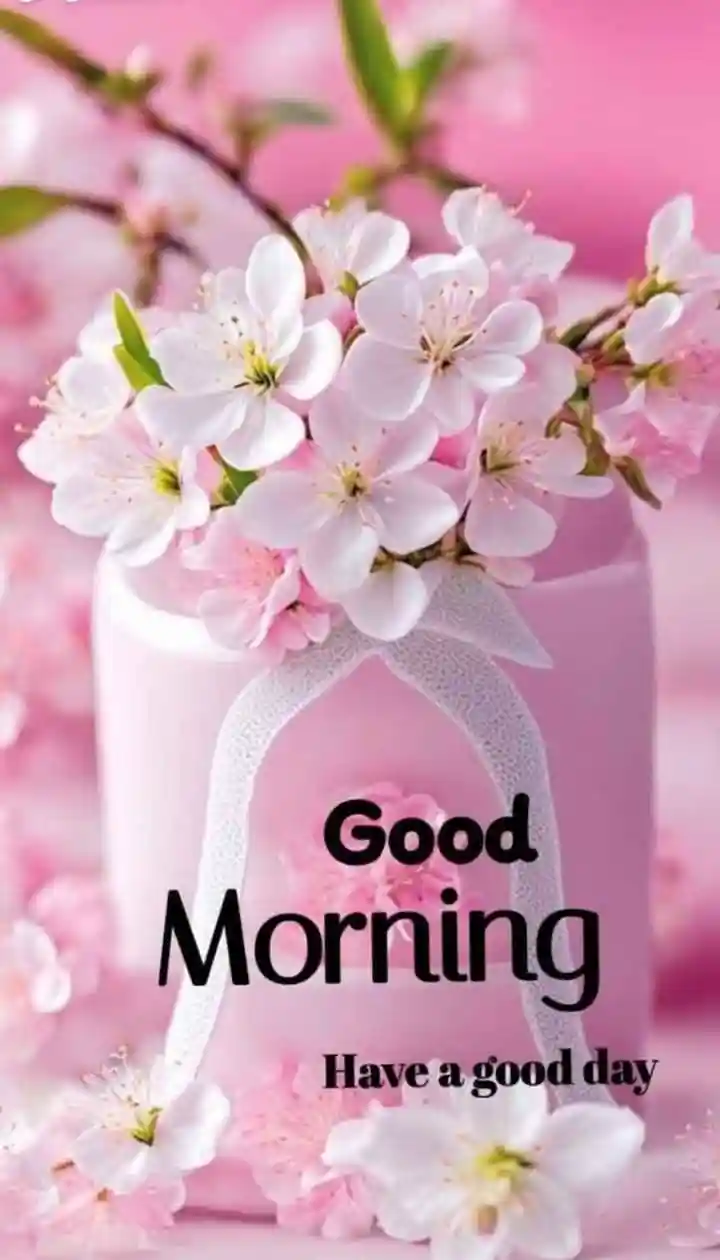 instagram-good-morning-images