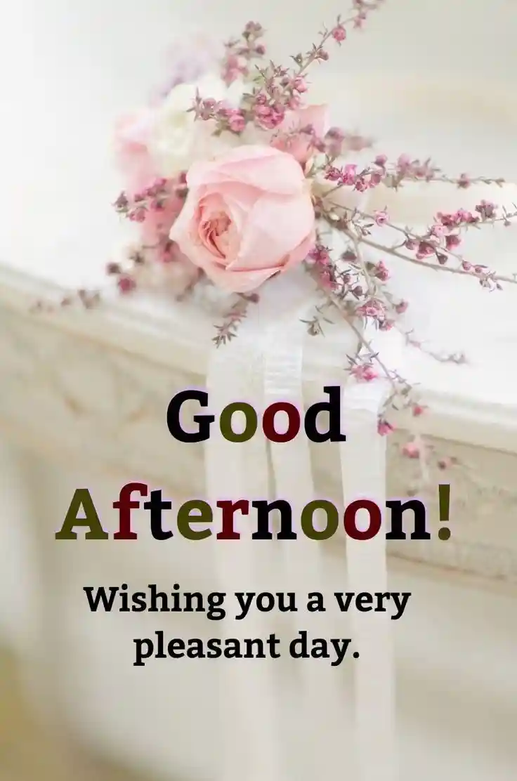 new-good-afternoon-images